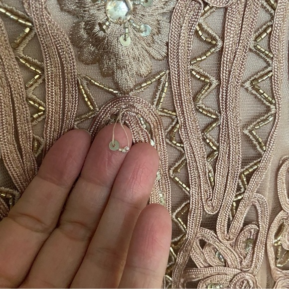 Sue Wong Nocturne Blush Pink Beaded Lace Dress Size 2 - Picture 12 of 12
